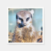 MEERKAT SERVET (Voorkant)