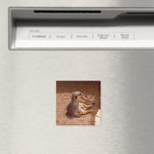 Meerkat Sitting Photography, Fridge Magnet (Insitu (Vaatwasser))