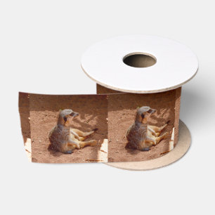 Meerkat Sitting Photography, Satin Ribbon Satijnen Lint