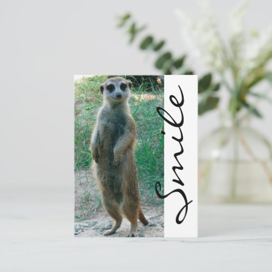 Meerkat Smile Briefkaart (Staand voorkant)