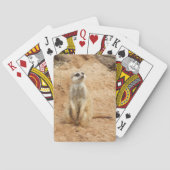 Meerkat-speelkaarten Speelkaarten (Achterkant)