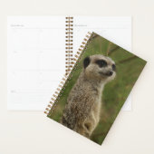 Meerkat Spiraal Planner en Notitieboek (Display)