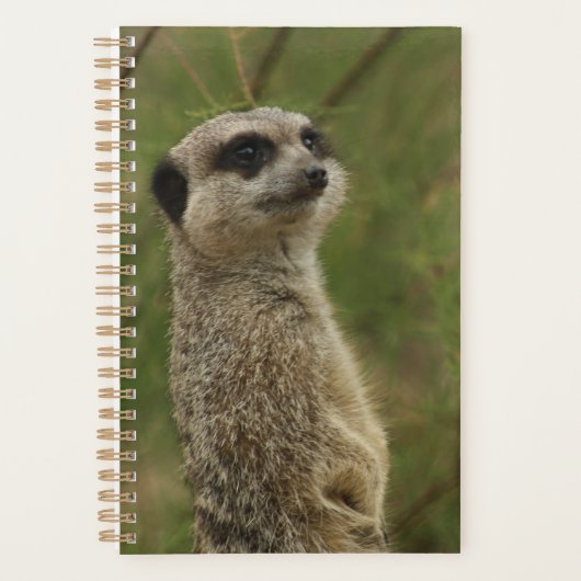 Meerkat Spiral Planner and Notebook (Voorkant)