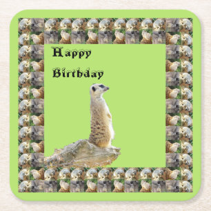 Meerkat Square Birthday Paper Onderzetters, Kartonnen Onderzetters