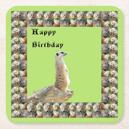 Meerkat Square Birthday Paper Onderzetters, Kartonnen Onderzetters (Voorkant)
