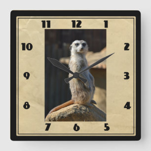 Meerkat Square Clock Vierkante Klok