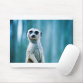 Meerkat Staredown Muismat (Met muis)