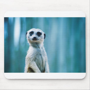 Meerkat Staredown Muismat