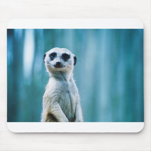 Meerkat Staredown Muismat (Voorkant)