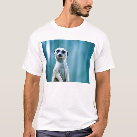 Meerkat Staredown T Shirt (Voorkant)