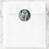 Meerkat Sticker (Tas)
