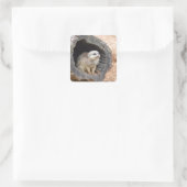 Meerkat sticker - vierkant (Tas)