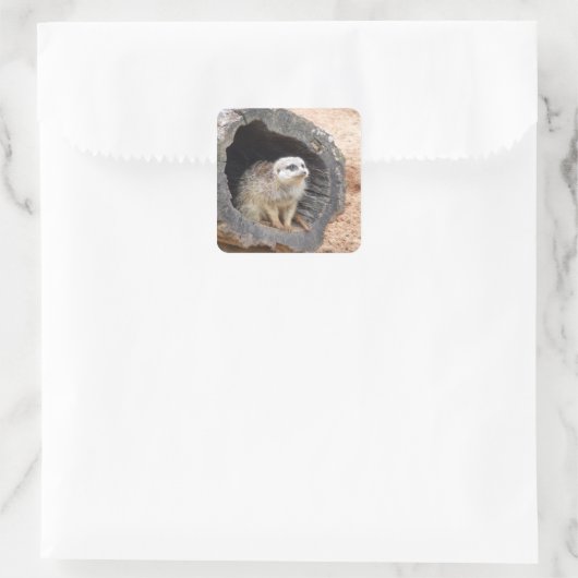 Meerkat sticker - vierkant (Tas)