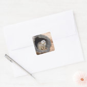 Meerkat sticker - vierkant (Envelop)