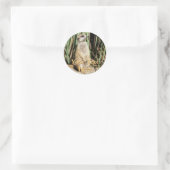 Meerkat Stickers (Tas)