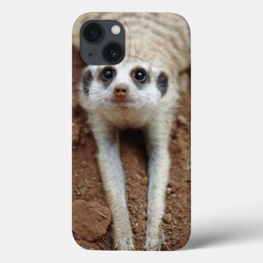 Meerkat (Suricata Suricatta) afkoelen Case-Mate iPhone Case (Achterkant)