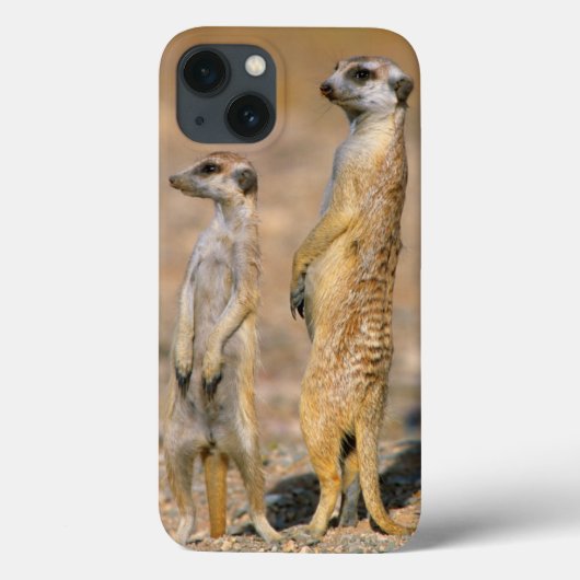 Meerkat (Suricata Suricatta) Sentinels, Karas Case-Mate iPhone Case (Achterkant)