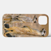 Meerkat (Suricata Suricatta) Sentinels, Karas Case-Mate iPhone Case (Achterkant (horizontaal))