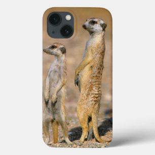 Meerkat (Suricata Suricatta) Sentinels, Karas Case-Mate iPhone Case