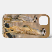Meerkat (Suricata Suricatta) Sentinels, Karas Case-Mate iPhone Case (Achterkant (horizontaal))