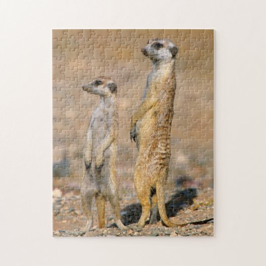 Meerkat (Suricata Suricatta) Sentinels, Karas Legpuzzel (Verticaal)