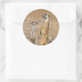 Meerkat (Suricata Suricatta) Sentinels, Karas Ronde Sticker (Tas)