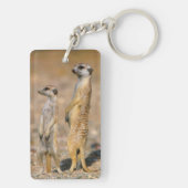 Meerkat (Suricata Suricatta) Sentinels, Karas Sleutelhanger (achterkant)