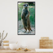Meerkat Tall Poster (Keuken)