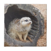 Meerkat Tile Tegeltje (Voorkant)