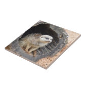 Meerkat Tile Tegeltje (Zijkant)