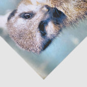 MEERKAT TISSUEPAPIER (Detail)