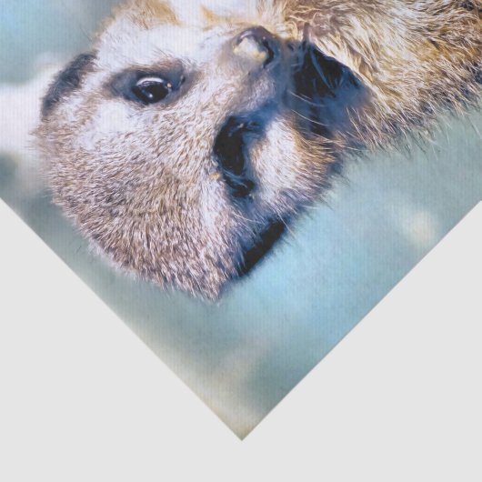MEERKAT TISSUEPAPIER (Detail)