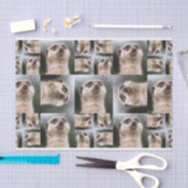 Meerkat Tissuepapier (Craft)