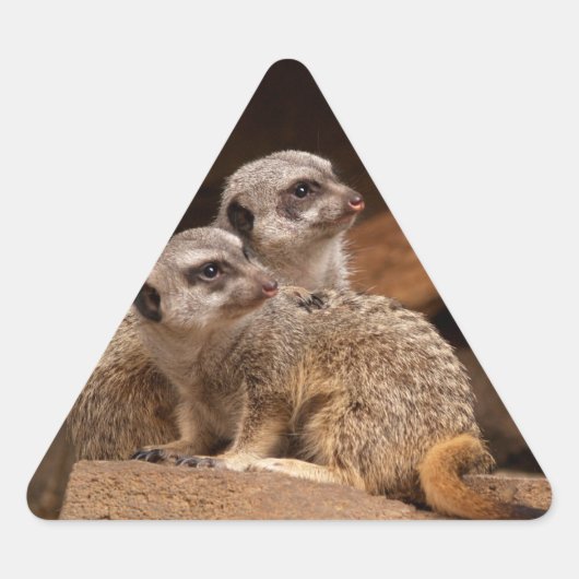 Meerkat Triangle Sticker (Voorkant)