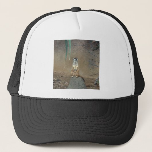 Meerkat Trucker Pet (Voorkant)