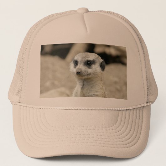 Meerkat Trucker Pet (Voorkant)