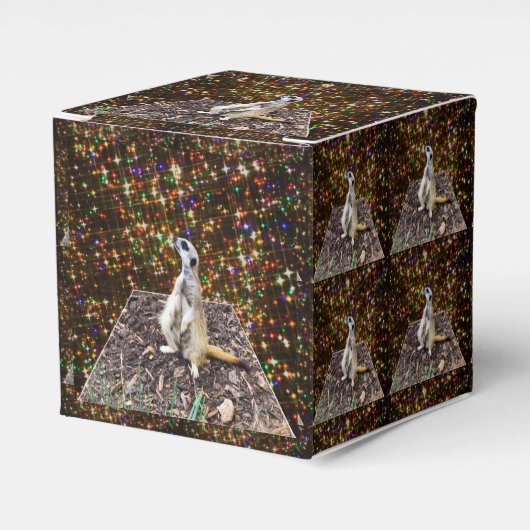 Meerkat Twinkle Stars Bedankdoosjes (Voorkant Zijde)