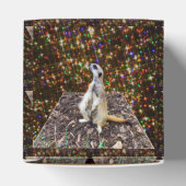 Meerkat Twinkle Stars Bedankdoosjes (Bovenkant)