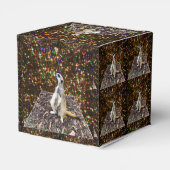 Meerkat Twinkle Stars Bedankdoosjes (Achterkant)