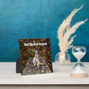Meerkat Twinkle Stars, Foto Plaque Fotoplaat