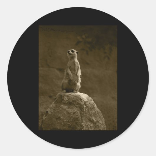 Meerkat Valencia Tint Verticale Sticker (Voorkant)