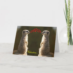 Meerkat Valentijn Kaart 003