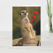 Meerkat Valentijn Kaart 007 (Voorkant)