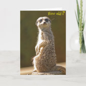 Meerkat Verjaardag Kaart - Hoe oud? (Voorkant)