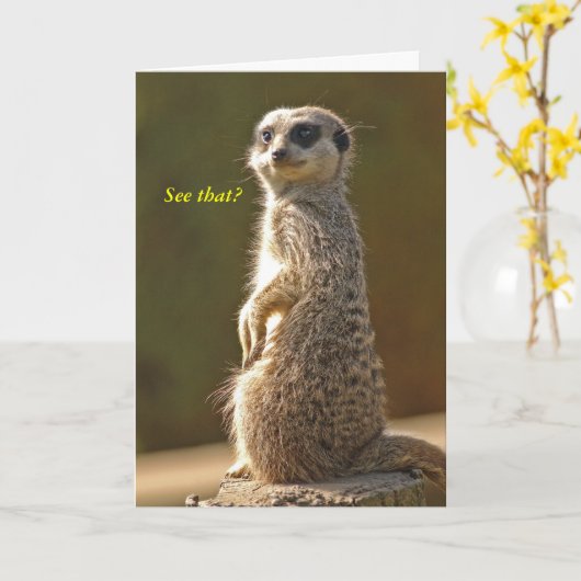Meerkat Verjaardag Kaart Zie je dat? c (Gele Bloem)