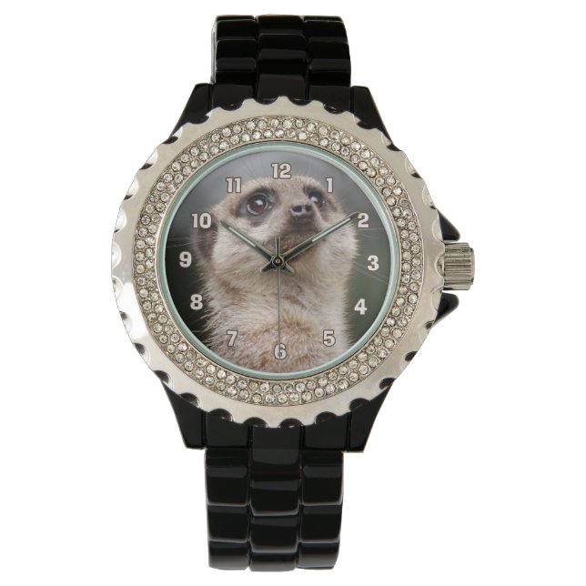 Meerkat Watch Horloge (Voorkant)