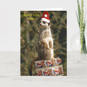 Meerkat, weinig de helperKaart van de Kerstman Feestdagen Kaart