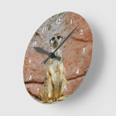 Meerkat Wildlife Foto Ronde Klok (Hoek)