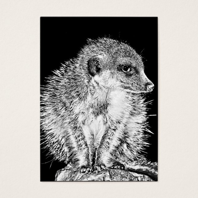 Meerkat, zwart en wit visitekaartje (Voorkant)