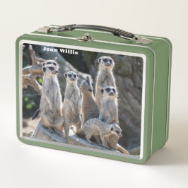 Meerkats
